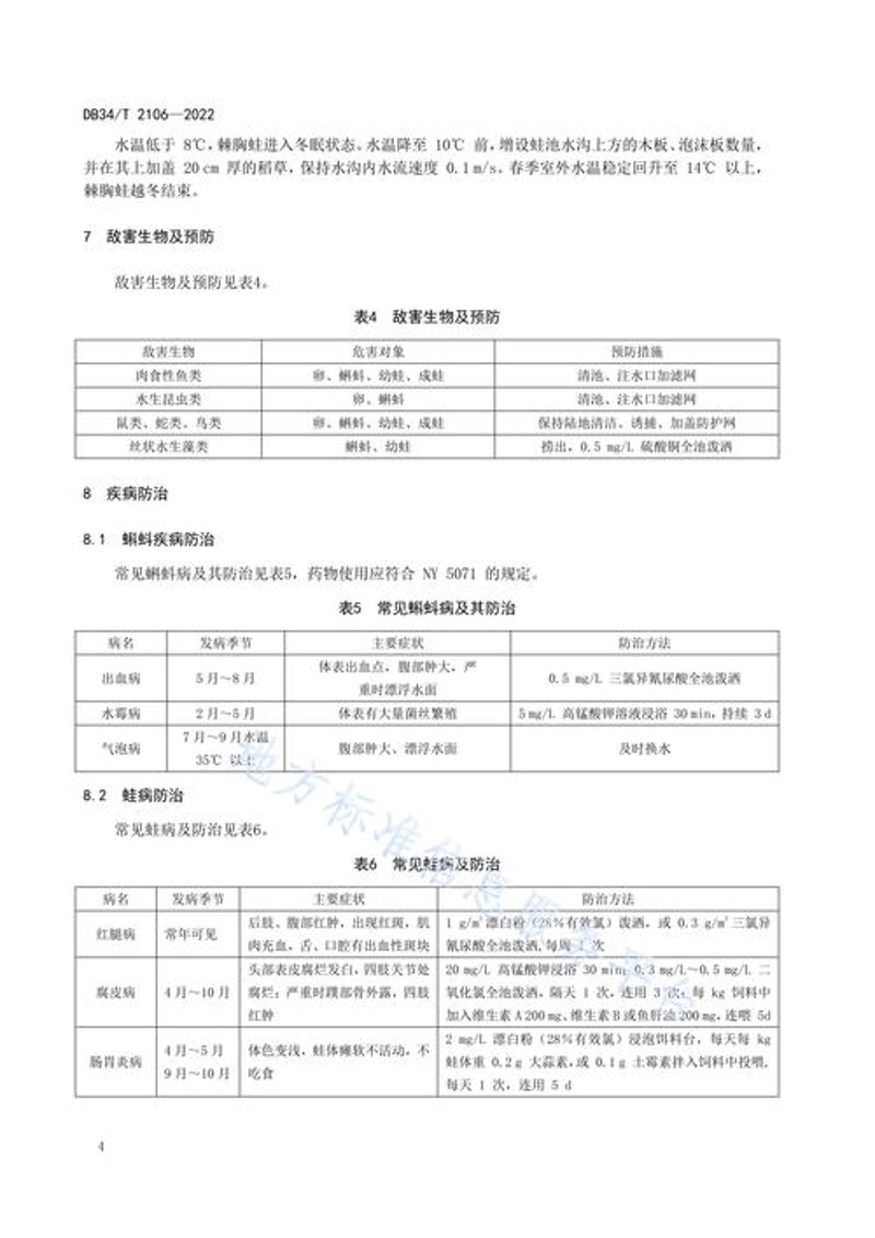 青蛙养殖技术