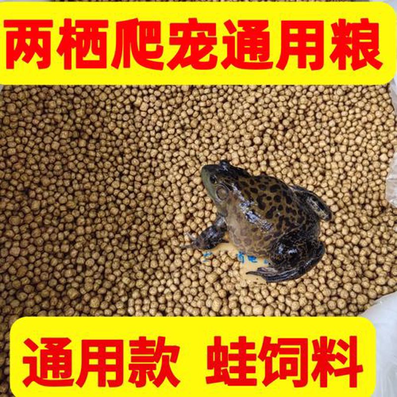 种苗市场的启示：一只小青蛙的蜕变之旅